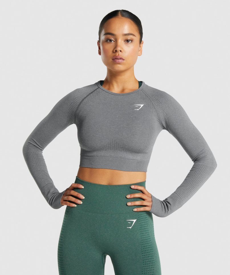 Przycięte Topy Gymshark Vital Seamless 2.0 Long Sleeve Damskie Szare | PL 412ILV